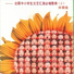 新时代小星星组合