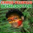 Chris Kuskus