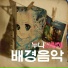 배경음악
