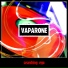 Vaparone Orchestra feat. Slava Mook