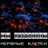Нервные клетки