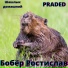 Шашлык домашний, PRADED
