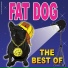 Fat dog