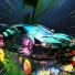 DNBIT