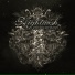 Nightwish (Endless Forms Most Beautiful)