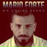 Mario Forte