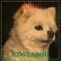 Kosya4ok