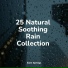 Sounds of Nature, Música Zen Relaxante, Rain