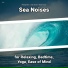Relaxing Music, Ocean Sounds, Nature Sounds