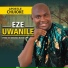 Apostle Chijioke