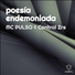 MC PULSO