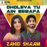 Zahid Shaam