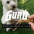 Gurú Metal