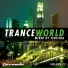 Armin van Buuren feat. Christian Burns