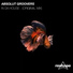 Absolut Groovers