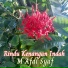 M Afdi Syaf