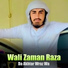 Wali Zaman Raza