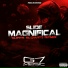princce, mc bm oficial