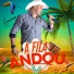 JUNINHO ROCHA