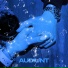 AUDIUNT