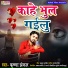 Krishna Jankar