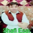 Shafi Esar