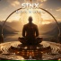 STNX