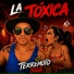 Terremoto502