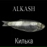ALKASH