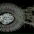 syntha., heartlocketcult