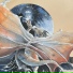 Cats and Dragons