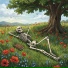 zabor, naoborot, LO-FI BEATS