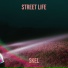 SKEL