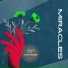 JVLA feat. MVDNES, KVPV