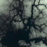 Anger of Darkness