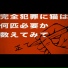 nisemono no honmono