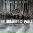 Вадим WolF