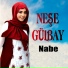 Neşe Gülbay