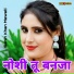 Sahin Khan Mewati, Aamir Nangaliya