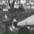 TreD