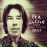 Per Gessle feat. Helena Josefsson