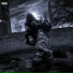 trakov