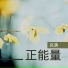 心跳