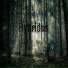 Hybridus