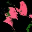 Don Gabriele