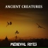 Medieval Rites