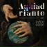 Aquiadrianto
