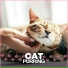 Music for Cats Peace