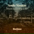 Andu Simion