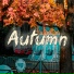 AltStill